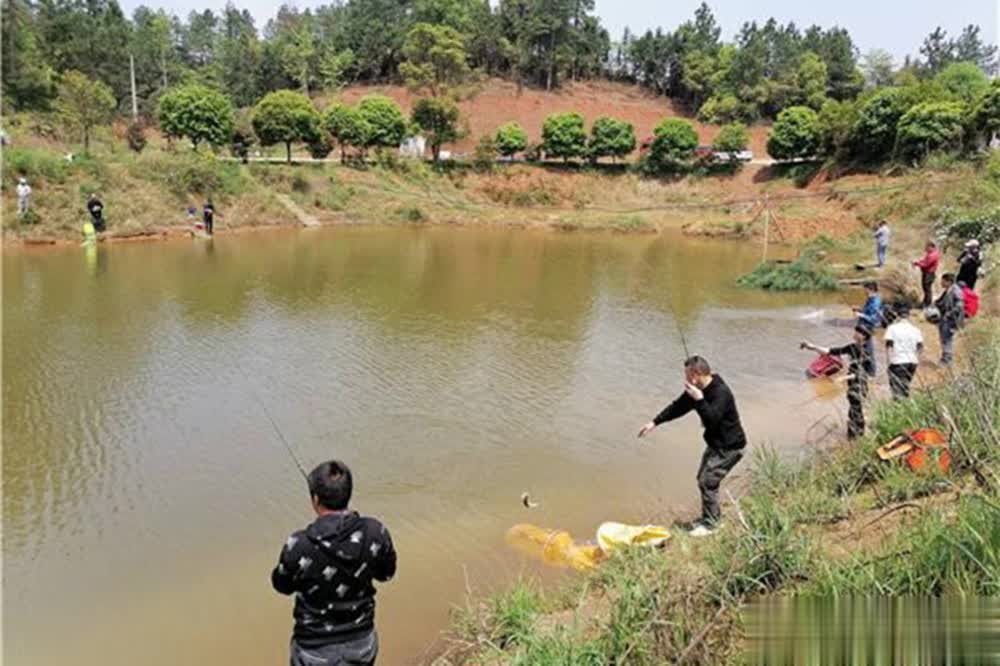 的觅食水温, 条件下鱼的, 钓鱼的旺季