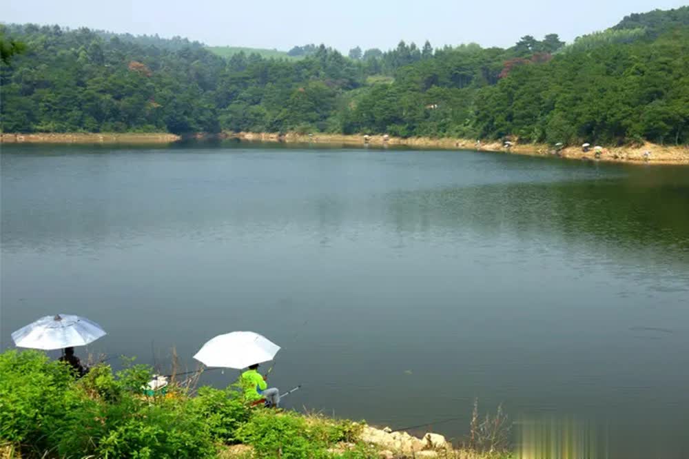 div, 了钓鱼的真