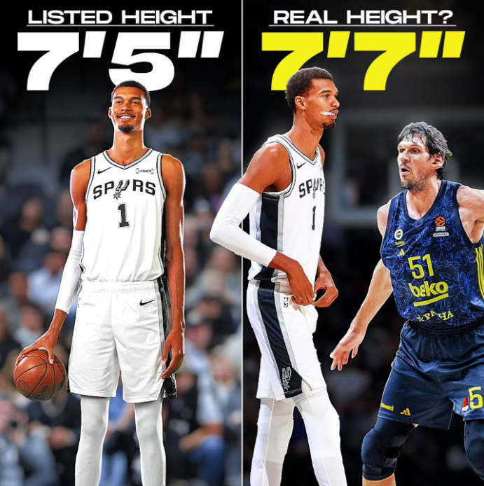 随后又靠碳, HfYaI 随后又靠碳, HfYaI